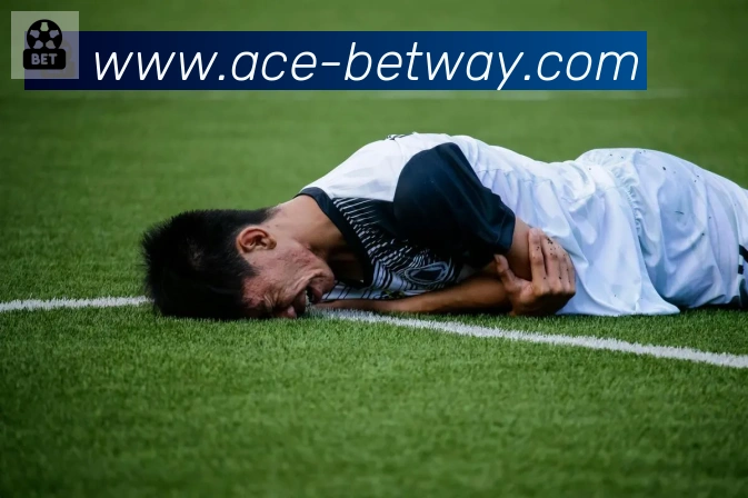 必威体育入口平台生态图